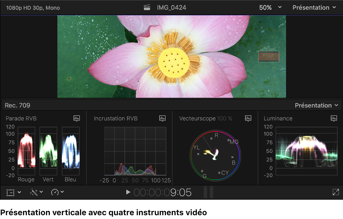 Histogramme Parade RVB, histogramme Incrustation RVB, vecteurscope et oscilloscope de luminance sous le visualiseur