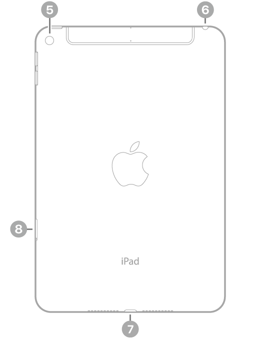 The back view of iPad with callouts going clockwise from the top left: rear camera, headphone jack, Lightning connector, and SIM tray (Wi-Fi + Cellular).