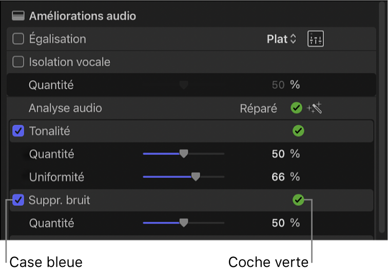 Section « Améliorations audio » de l’inspecteur audio affichant une coche bleue en regard de Tonalité et de « Suppression du bruit », et des coches vertes à côté de « Analyse audio », Tonalité et « Suppression du bruit ».