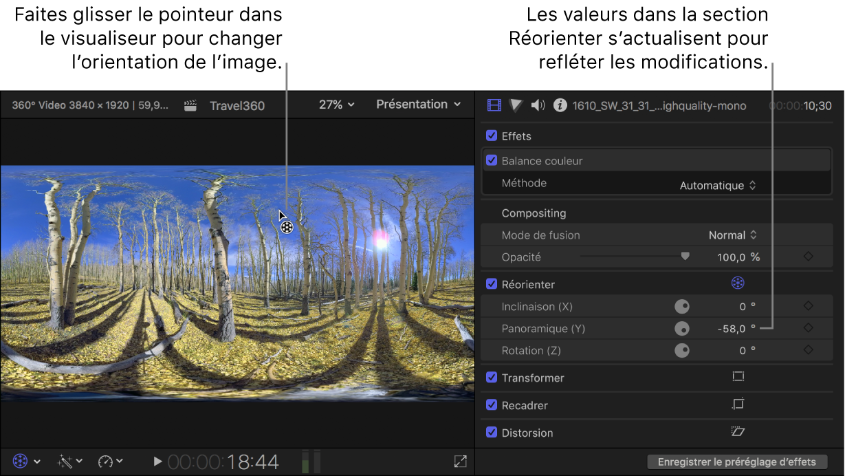 Contrôles Réorienter dans le visualiseur et l’inspecteur