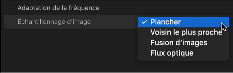 Menu local Échantillonnage d’image dans la section « Adaptation de la fréquence » de l’inspecteur vidéo