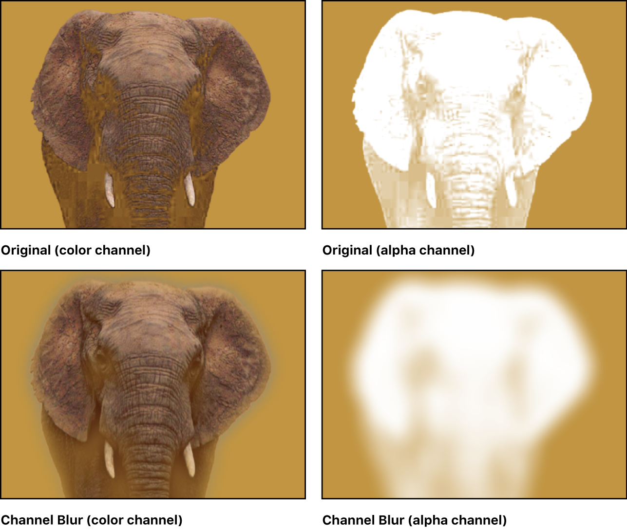 Canvas showing unmodified clip and its alpha channel, and Channel Blur applied to clip’s alpha channel