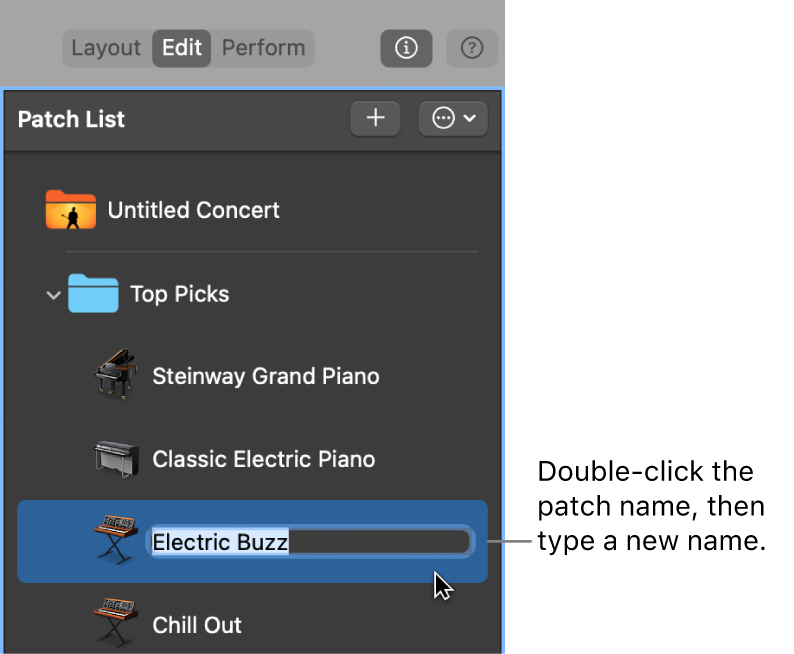 Figure. Naming a patch in the Patch List.