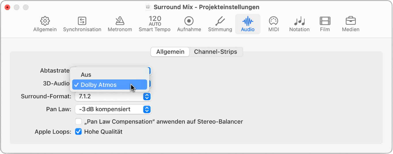 Abbildung. Aktivieren von 3D-Audio in den Projekteinstellungen.