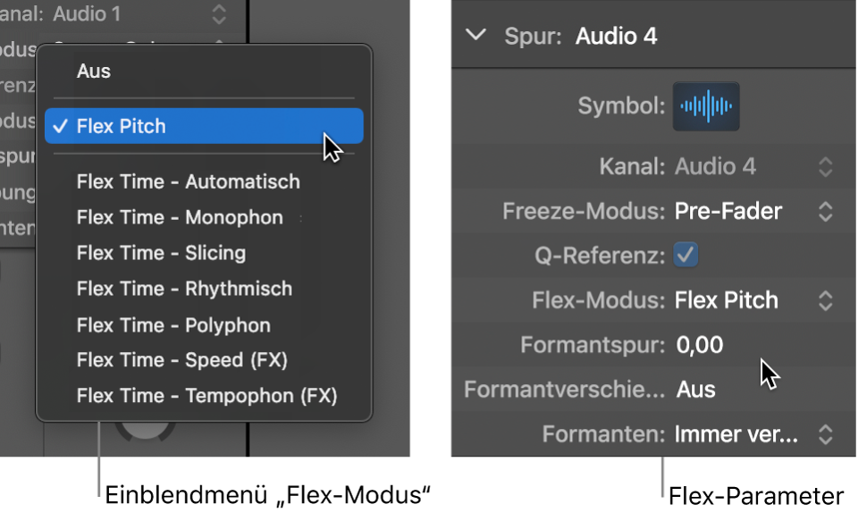 Abbildung. Informationsfenster „Spur“ mit Flex-Algorithmen und Parametern