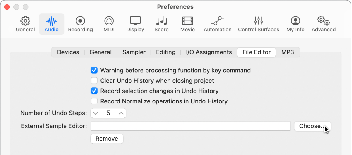 Figure. Sample Editor pane in the Audio preferences.