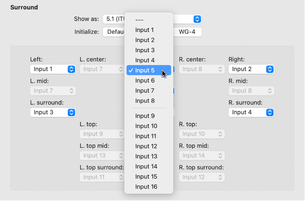 Figure. Input pop-up menu in Surround preferences.