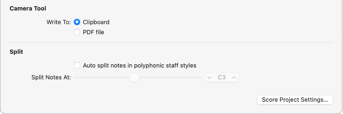Figure. Camera tool settings in Score preferences pane.