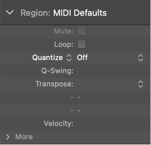 Figure. Quantize parameter in the Region inspector.