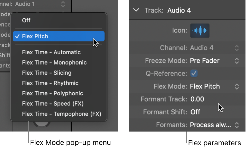 Figure. Track inspector showing Flex algorithms and parameters.