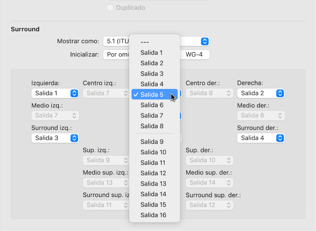 Ilustración. Menú desplegable Salida en el panel de preferencias Surround.