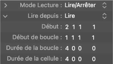 Figure. Paramètres de mise en boucle dans l’inspecteur de cellule.