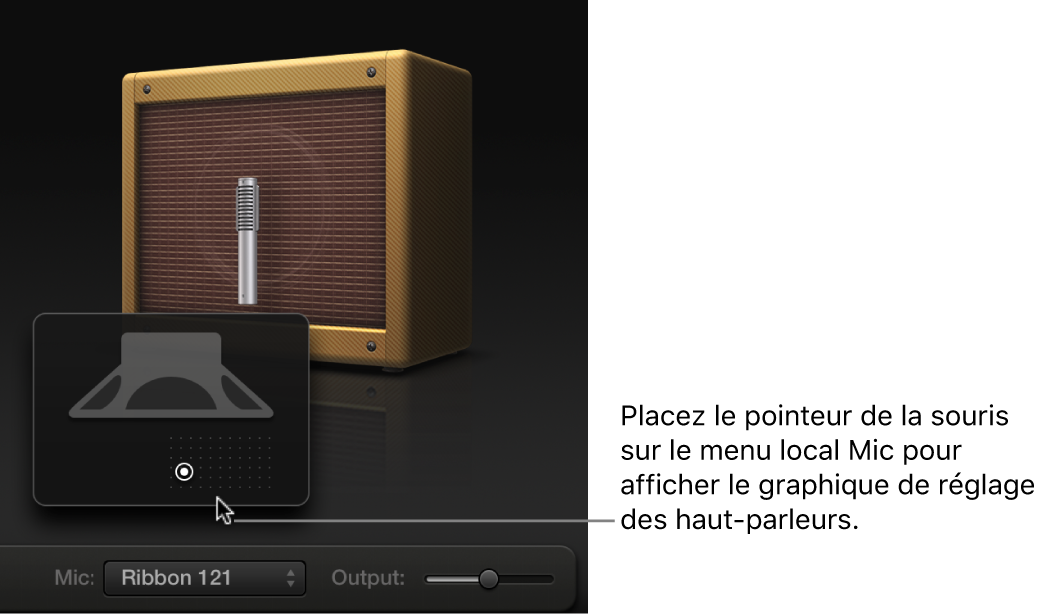 Figure. Paramètres de micro reprenant l’enceinte et le graphique de réglage des haut-parleurs.