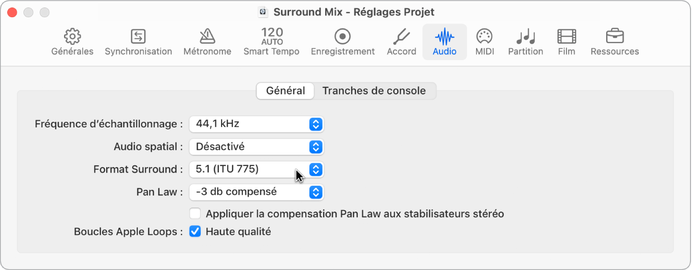 Figure. Sous-fenêtre Audio des réglages de projet.