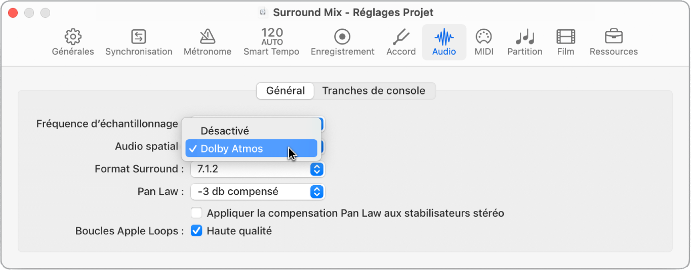 Figure. Activation de l’audio spatial dans les réglages de projet.