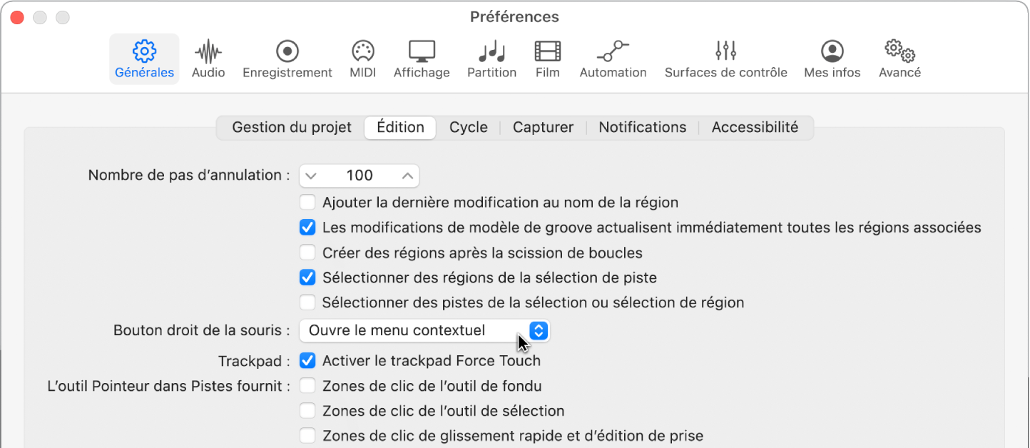 Figure. Cases Outil Pointeur dans la sous-fenêtre Édition des préférences Général.