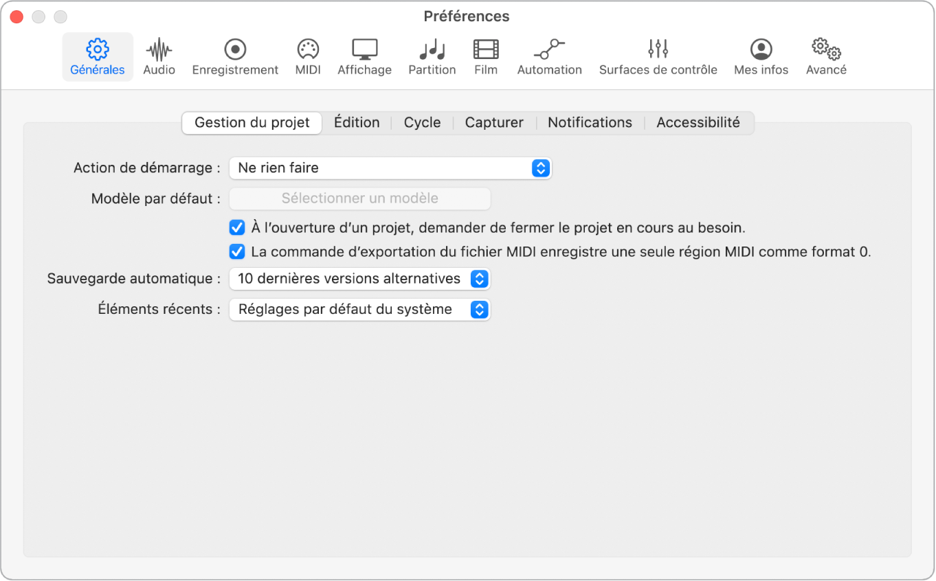 Figure. Préférences générales de gestion de projet.