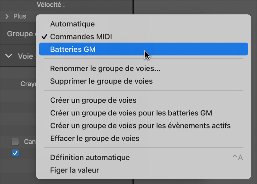 Figure. Indication du nom Groupe de voies dans le menu local.