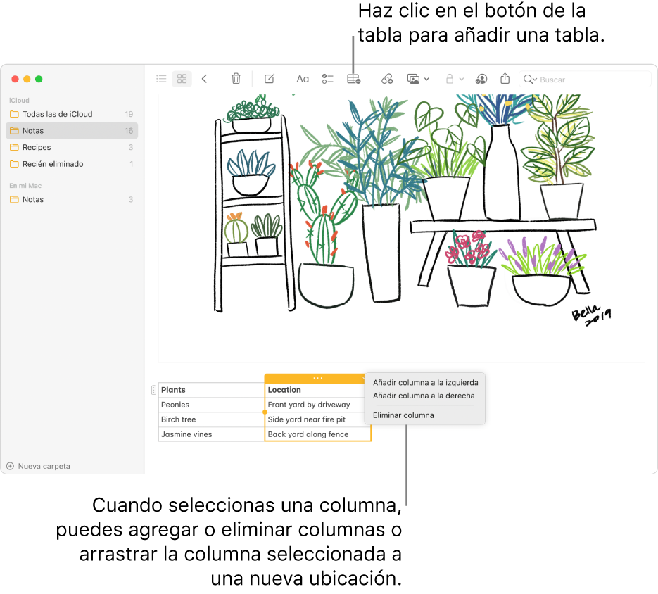 La ventana de Notas con el botón Tabla —haz clic en él para añadir una tabla. Dentro del contenido de la nota, hay una columna de la tabla seleccionada para que puedas añadir o eliminar columnas, o bien arrastrarlas hasta una nueva ubicación.