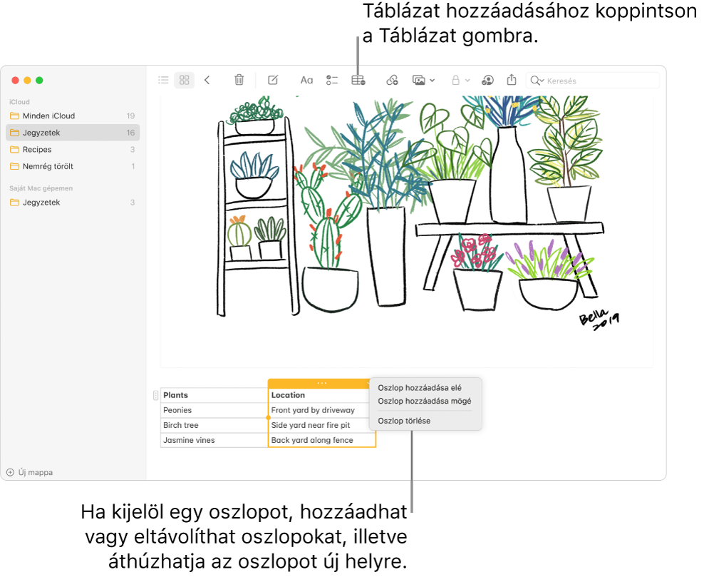 A Jegyzetek ablak a Táblázat gombbal - kattintással hozzáadhat egy táblázatot. A jegyzet tartalmában egy táblaoszlop került kijelölésre, így hozzáadhat vagy eltávolíthat oszlopokat, valamint új helyre is húzhatja őket.