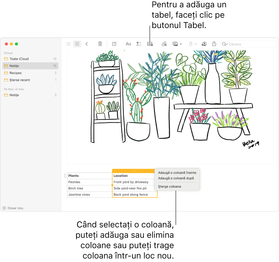 Fereastra Notițe afișând butonul Tabel – faceți clic pe acesta pentru a adăuga un tabel. În conținutul notiței, o coloană de tabel este selectată pentru a putea să adăugați sau să eliminați coloane sau să o trageți într-un alt loc.