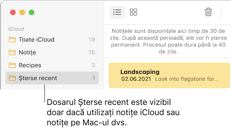 Fereastra Notițe cu dosarul Șterse recent în bara laterală și o notiță ștearsă recent. Puteți vedea dosarul Șterse recent doar dacă utilizați notițe iCloud sau notițele de pe Mac-ul dvs.