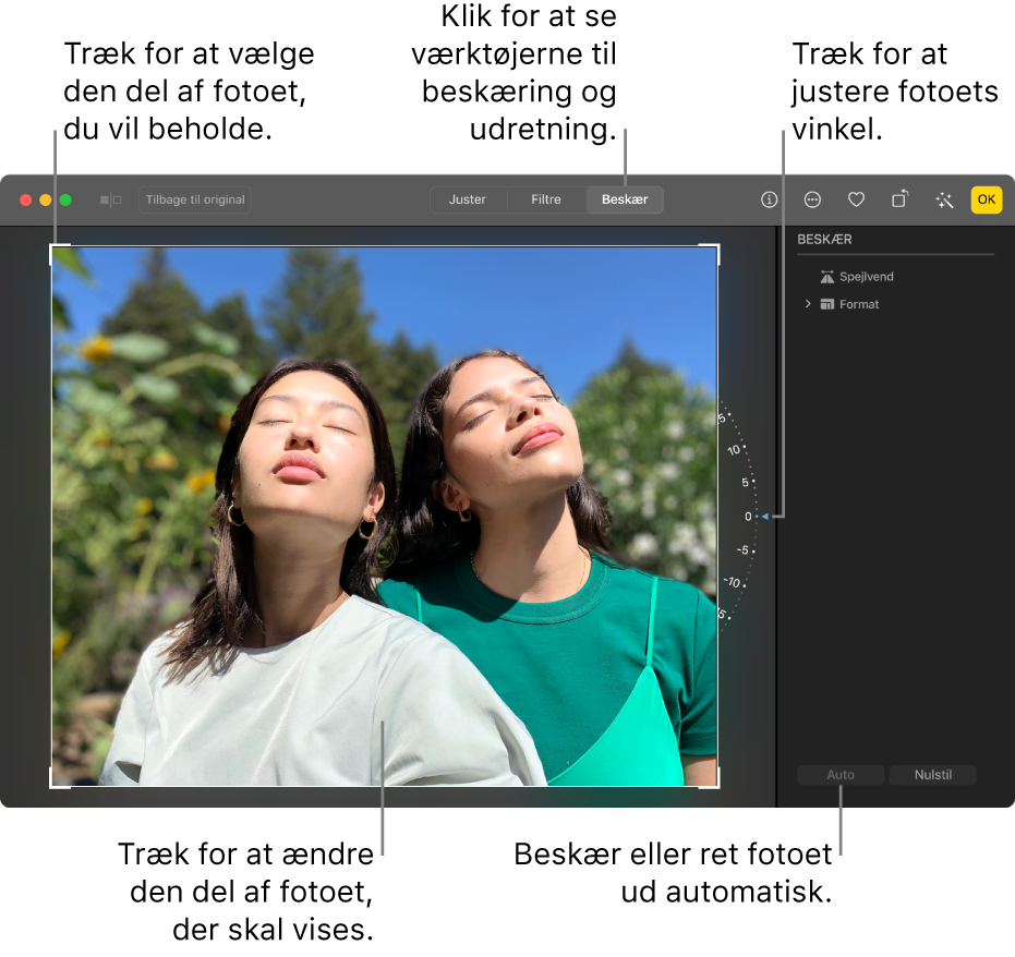 Et foto i redigeringsoversigt med Beskær valgt på værktøjslinjen, et vælgerektangel omkring fotoet, et hældningshjul til højre for fotoet og knappen Auto nederst til højre.