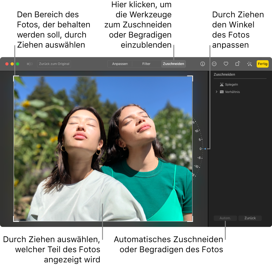 Ein Foto in der Bearbeitungsansicht mit dem ausgewählten Werkzeug „Zuschneiden“ in der Symbolleiste, einem Auswahlrahmen um das Foto, einem Rad rechts neben dem Foto und der Taste „Autom.“ unten rechts.