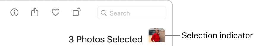 A selection indicator showing three photos selected.