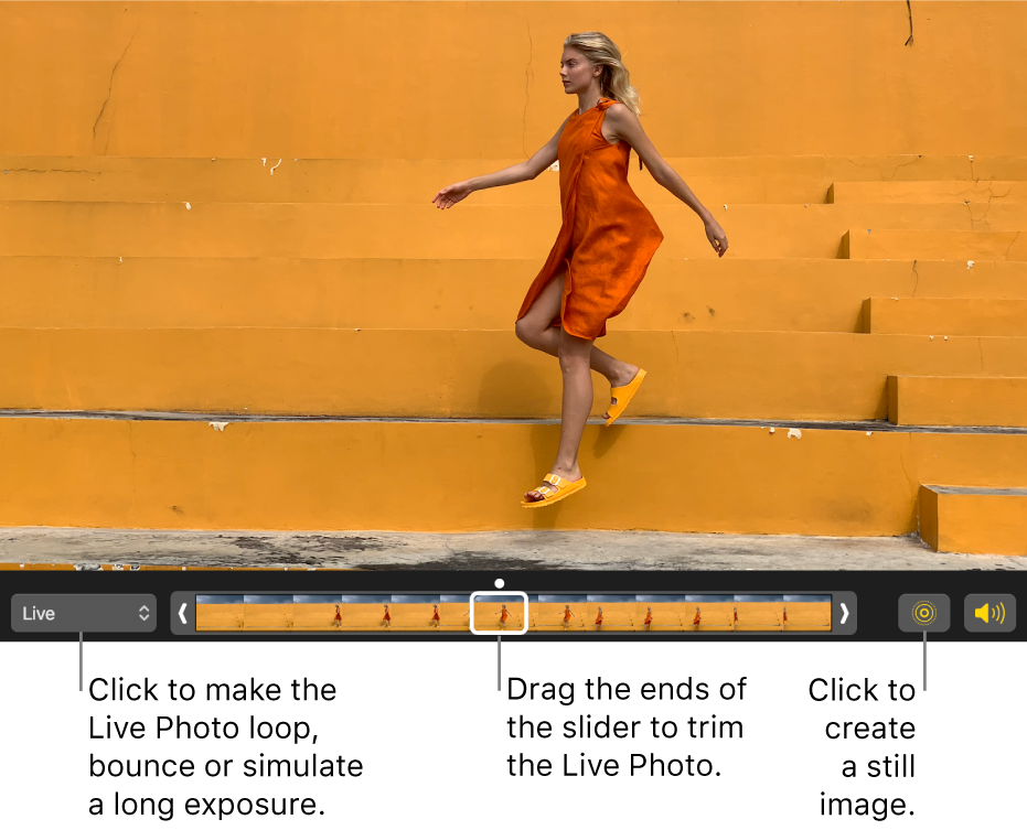 A Live Photo in editing view with a slider beneath it showing the frames of the photo. The Live Photo button and Speaker button are to the left of the slider, and to the right is a pop-up menu you can use to add a loop, bounce or long exposure effect.