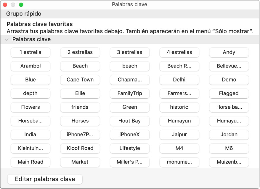 Palabras clave en la ventana del Administrador de palabras clave junto con el área “Grupo rápido” en la parte superior y el botón “Editar palabras clave” en la parte inferior izquierda.