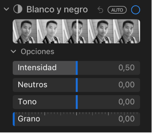 El área “Blanco y negro” del panel Ajustar con reguladores para Intensidad, Neutros, Tono y Grano.