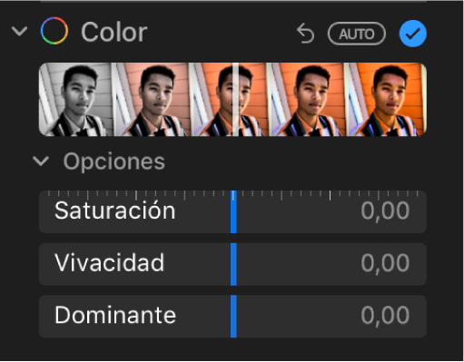 El área Color del panel Ajustar con reguladores para Saturación, Vivacidad y Dominante.