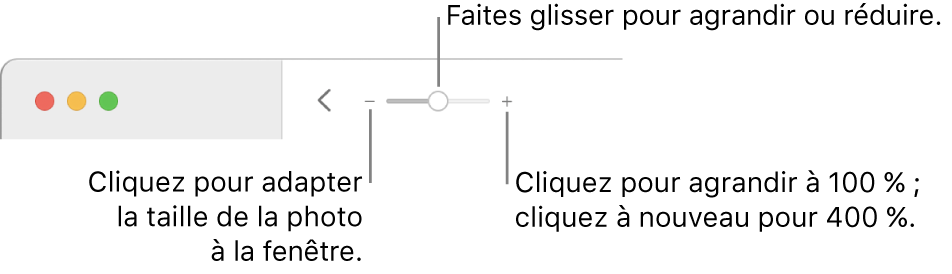 La barre d’outils affichant les commandes Réduire/agrandir.