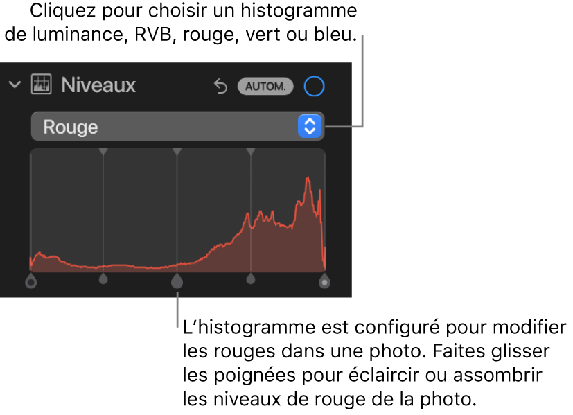 Les commandes Niveaux dans la sous-fenêtre Ajuster, montrant l’histogramme Rouge au-dessus de poignées, permettant d’ajuster les niveaux de rouge de la photo.