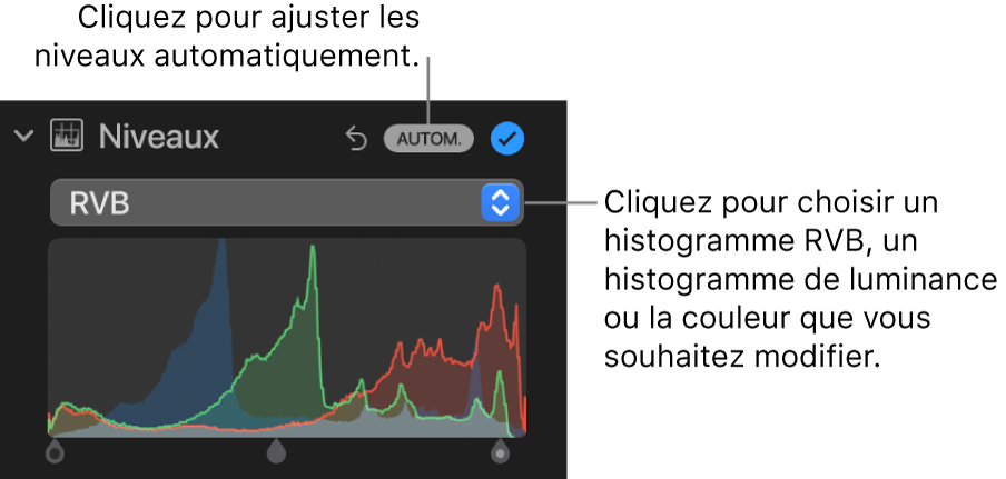 Les commandes Niveaux dans la sous-fenêtre Ajuster, avec le bouton Auto en haut à droite et l’histogramme RVB en dessous.