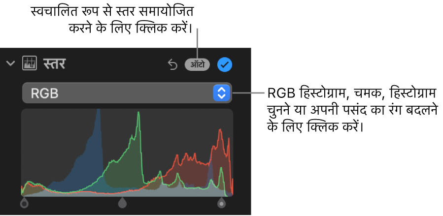 ऊपरी दाएँ कोने में ऑटो बटन और नीचे की ओर RGB हिस्टोग्राम दिखाता ऐडजस्ट करें पेन में स्तर नियंत्रण।