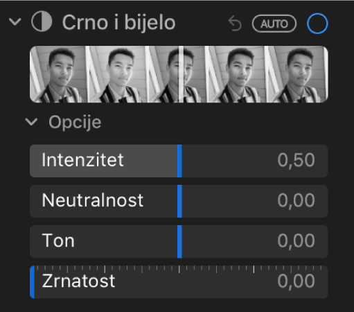 Područje Crno i bijelo prozora Prilagodi koji prikazuje kliznike za Intenzitet, Neutralno, Ton i Zrnatost.