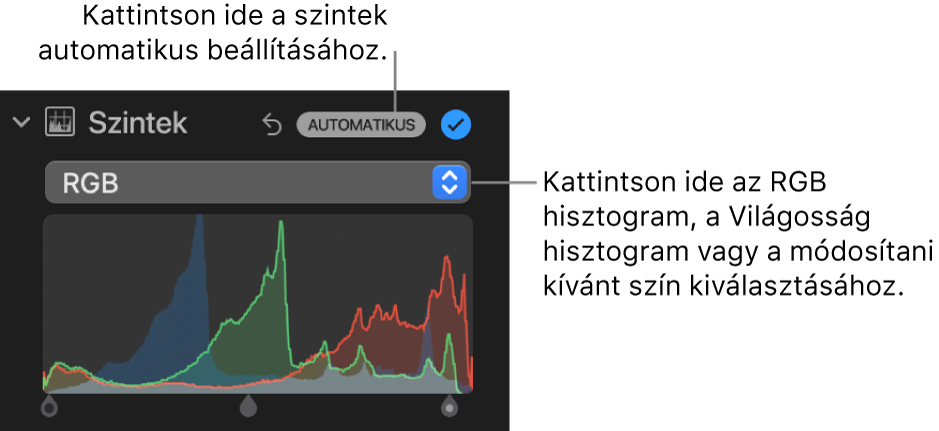 A Beállítás panel szintek vezérlői, az Automatikus gombbal a jobb felső sarokban, és az alatta elhelyezkedő RGB-hisztogrammal.