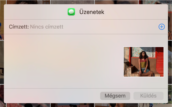 A címzettek hozzáadására szolgáló párbeszédpanel a fotók megosztása során az Üzenetek appal.