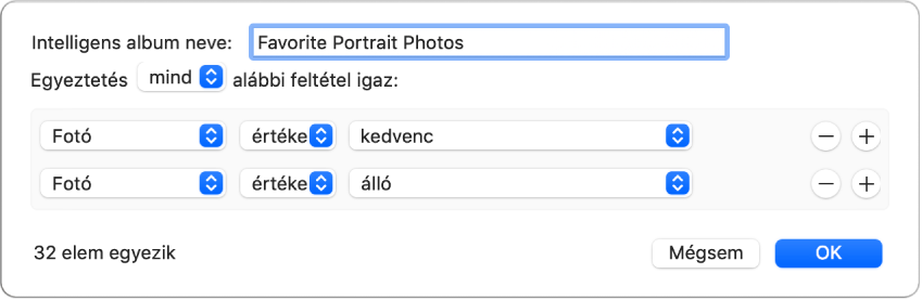 Egy, a kedvencként jelölt portréfotókat összefoglaló Intelligens album kritériumait megjelenítő párbeszédablak.