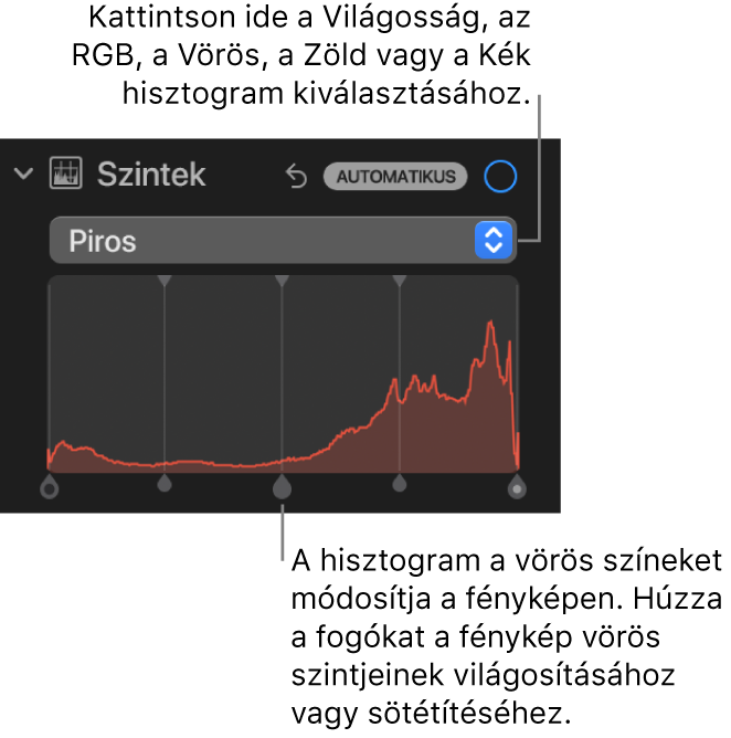 A Beállítás panel szintek vezérlői a Vörös-hisztogrammal és az alatta látható, a fotó vörös szintjeinek beállítására szolgáló fogókkal.