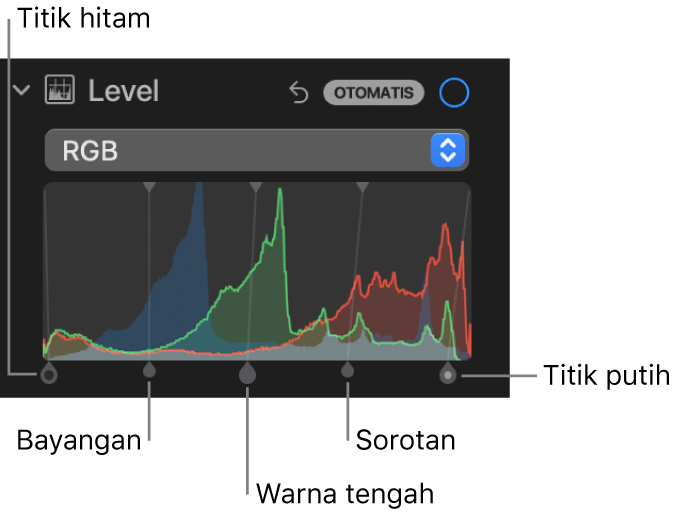 Kontrol Level di panel Sesuaikan, menampilkan histogram RGB dengan pengendali di bawah, termasuk (dari kiri ke kanan) titik hitam, bayangan, warna tengah, sorotan, dan titik putih.