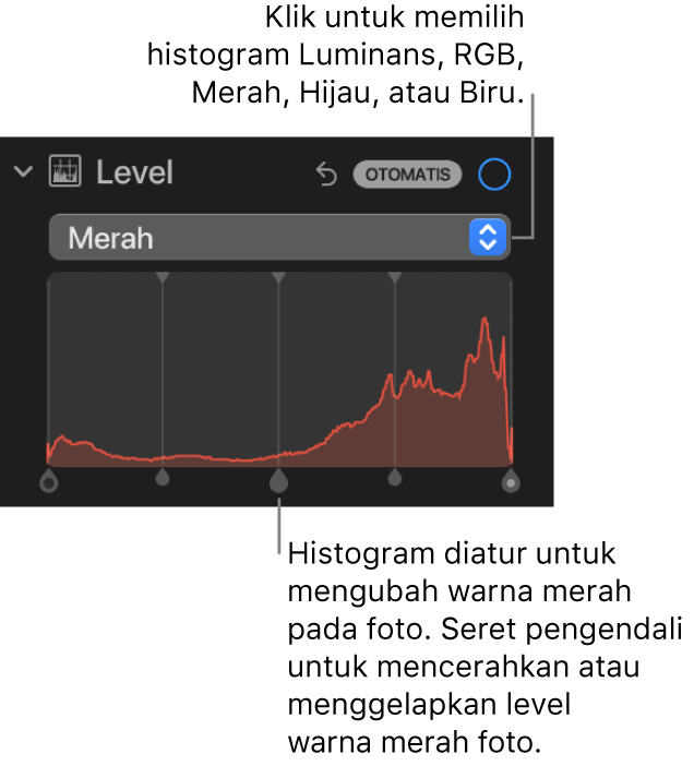 Kontrol Level di panel Sesuaikan, menampilkan histogram Merah dengan pengendali di bawah untuk menyesuaikan level merah foto.