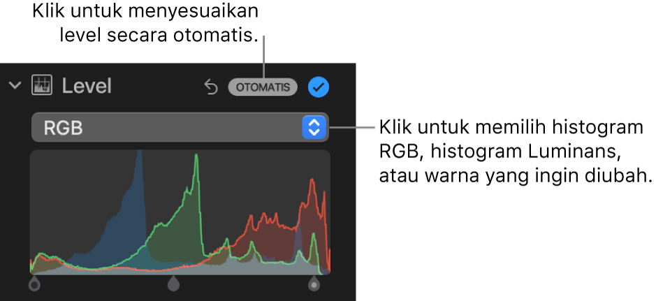 Kontrol Level di panel Sesuaikan, dengan dan tombol Otomatis di kanan atas serta histogram RGB di bawah.