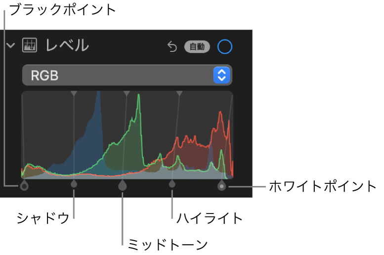 「調整」パネルの「レベル」コントロール。（左から右へ）ブラックポイント、シャドウ、ミッドトーン、ハイライト、ホワイトポイントのハンドルがある「RGB」ヒストグラムが下に表示されています。