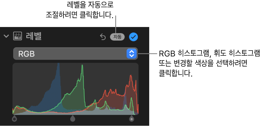 오른쪽 상단에 자동 버튼과 아래에 RGB 히스토그램이 표시된 조절 패널의 레벨 제어기.