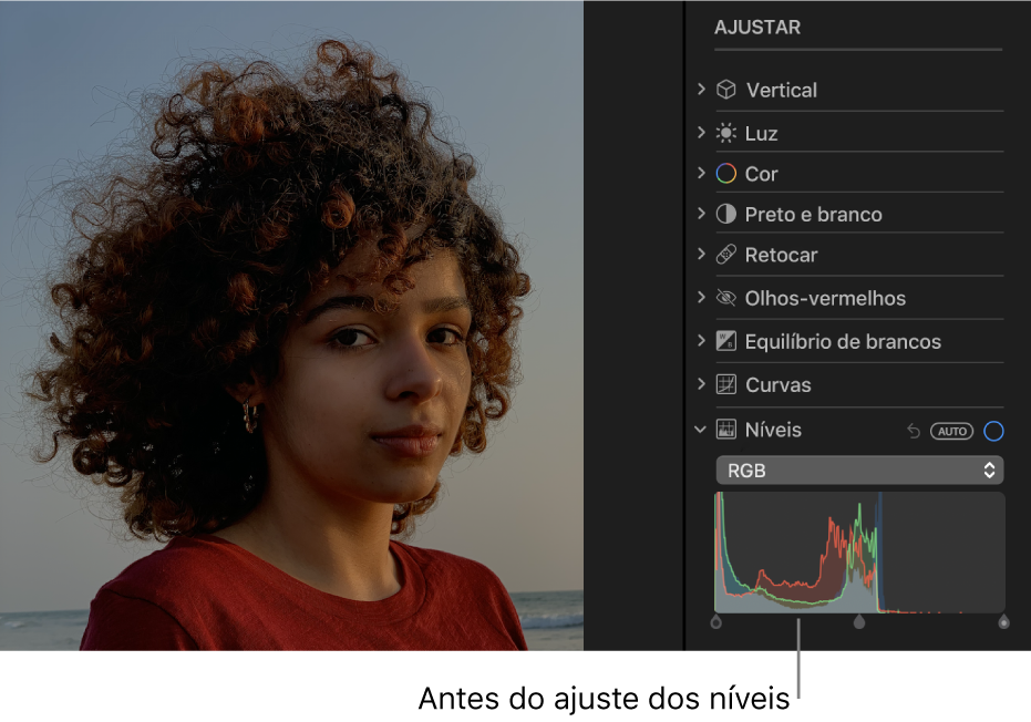 Uma fotografia antes dos ajustes de níveis.