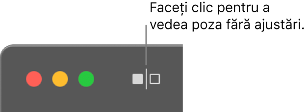 Butonul Fără ajustări, lângă comenzile din colțul din stânga sus al ferestrei.