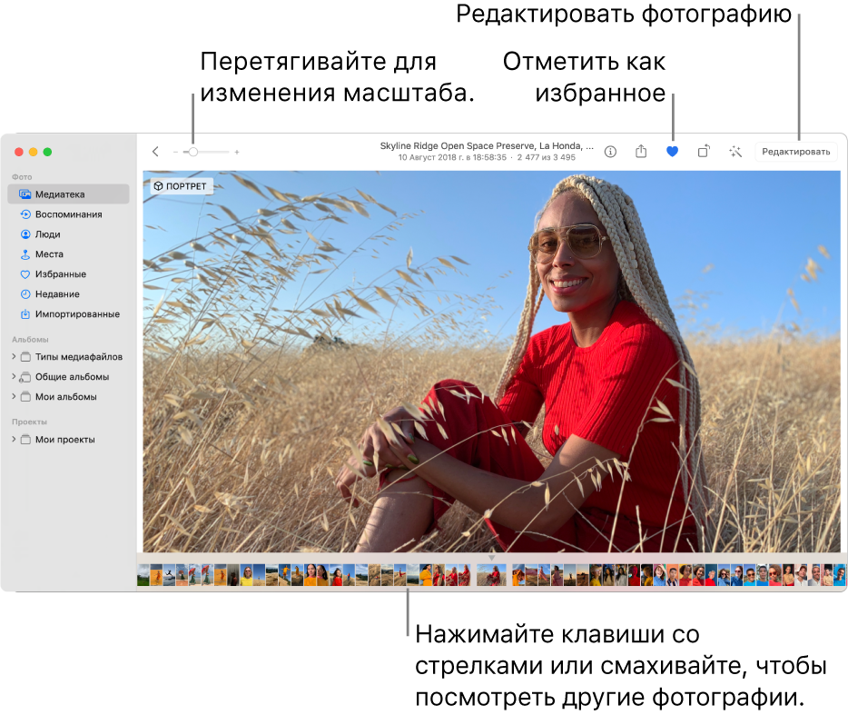 Окно приложения «Фото»: справа показана увеличенная фотография, под ней расположен ряд миниатюр. Вверху расположена панель инструментов с бегунком масштабирования, кнопкой «Избранное» и кнопкой «Редактировать».
